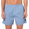 Light Blue Berry