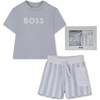 Pale Blue