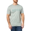 Slate Green