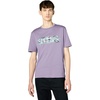 Purple Sage / White  Green  Purple