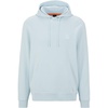 Artic Blue