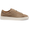 Medium Beige