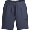 Spruce Blue
